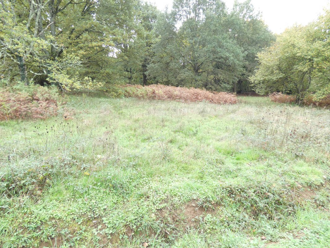 Terrain à PANAZOL
