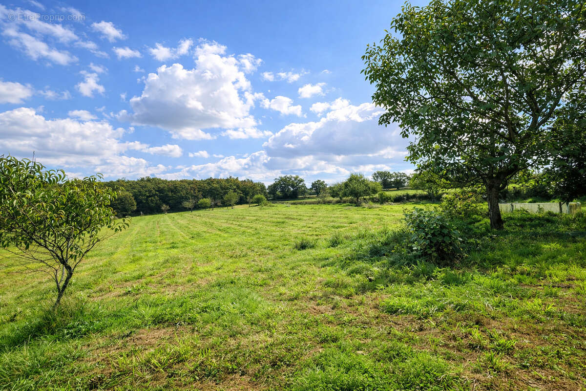 Maison de campagne avec dépendance sur 14ha ! - photo 19