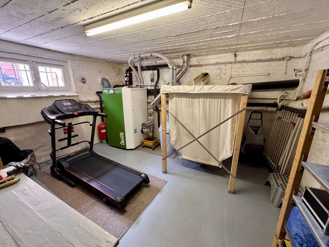 Henriville - Garage & Jardin - photo 10