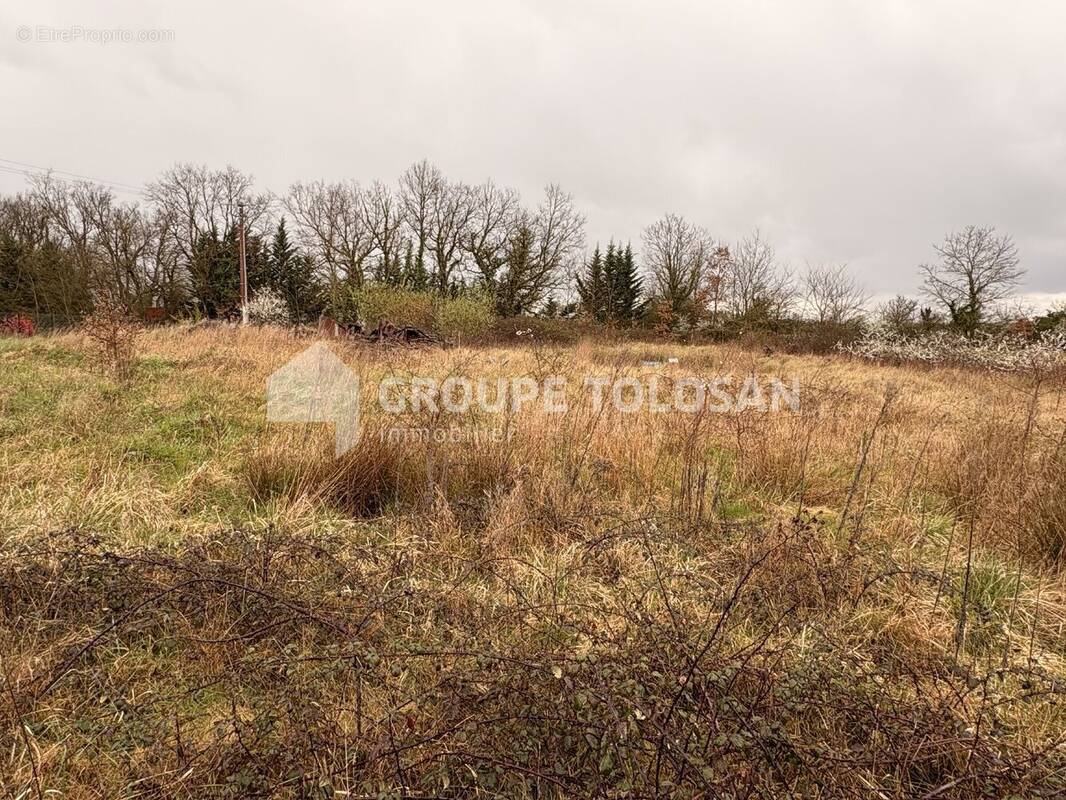 Terrain à MONTBETON
