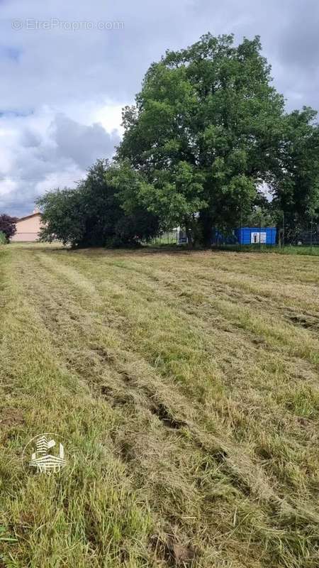 Maison à PLAISANCE-DU-TOUCH