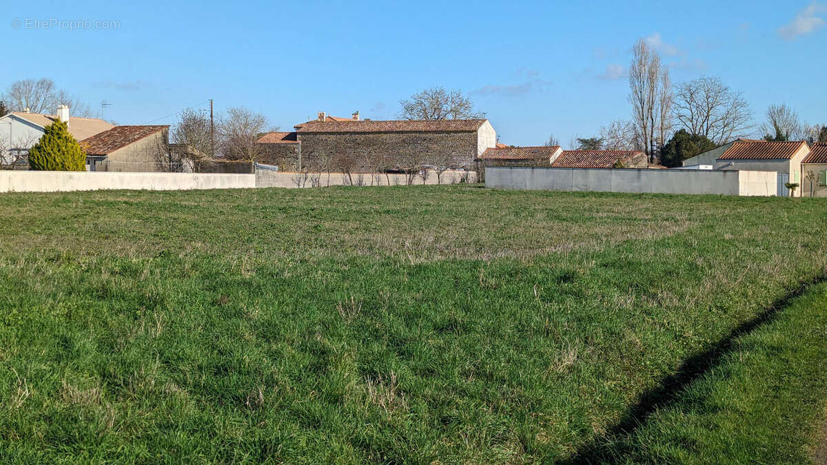 Photo 2 - Terrain à MAILLE