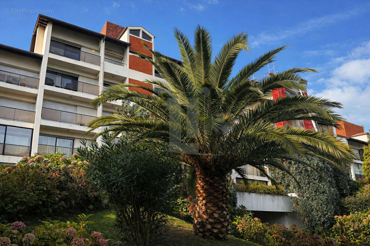 Grand appartement traversant avec terrasses, secteur Chambre d'Amour - photo 10