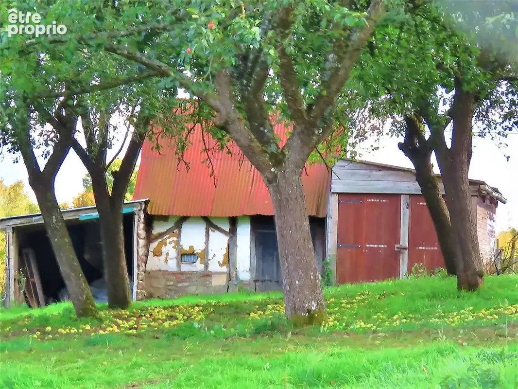propriété sur 1ha au fond d'un chemin au grand calme... - photo 16