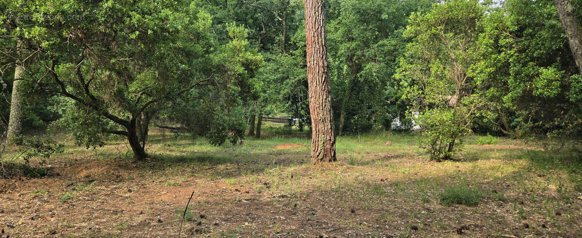 Terrain à ARCACHON