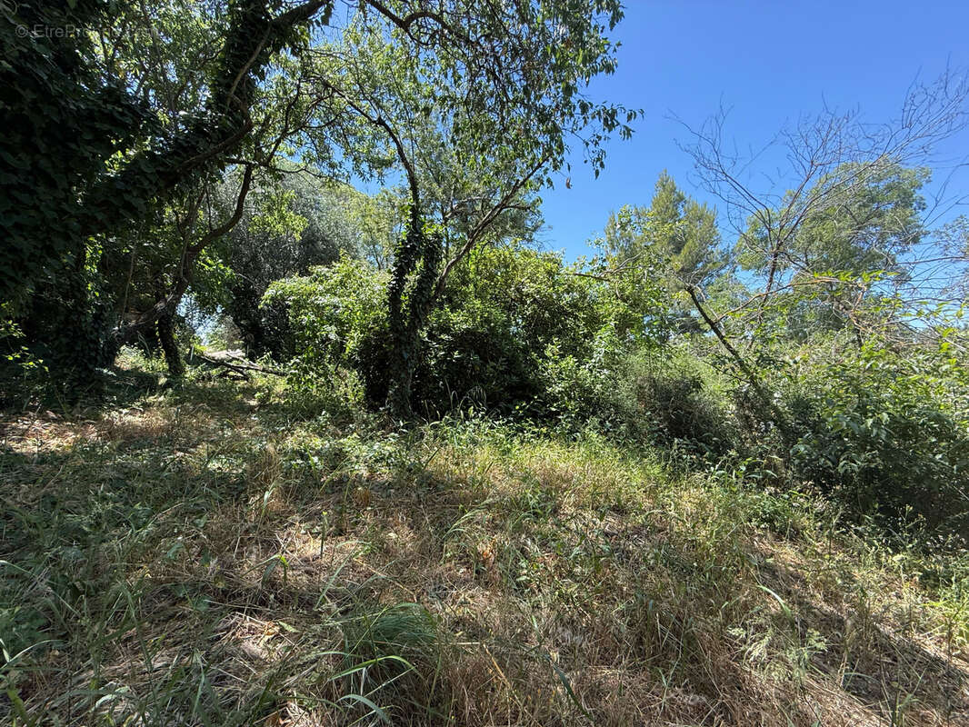 Terrain à BELARGA