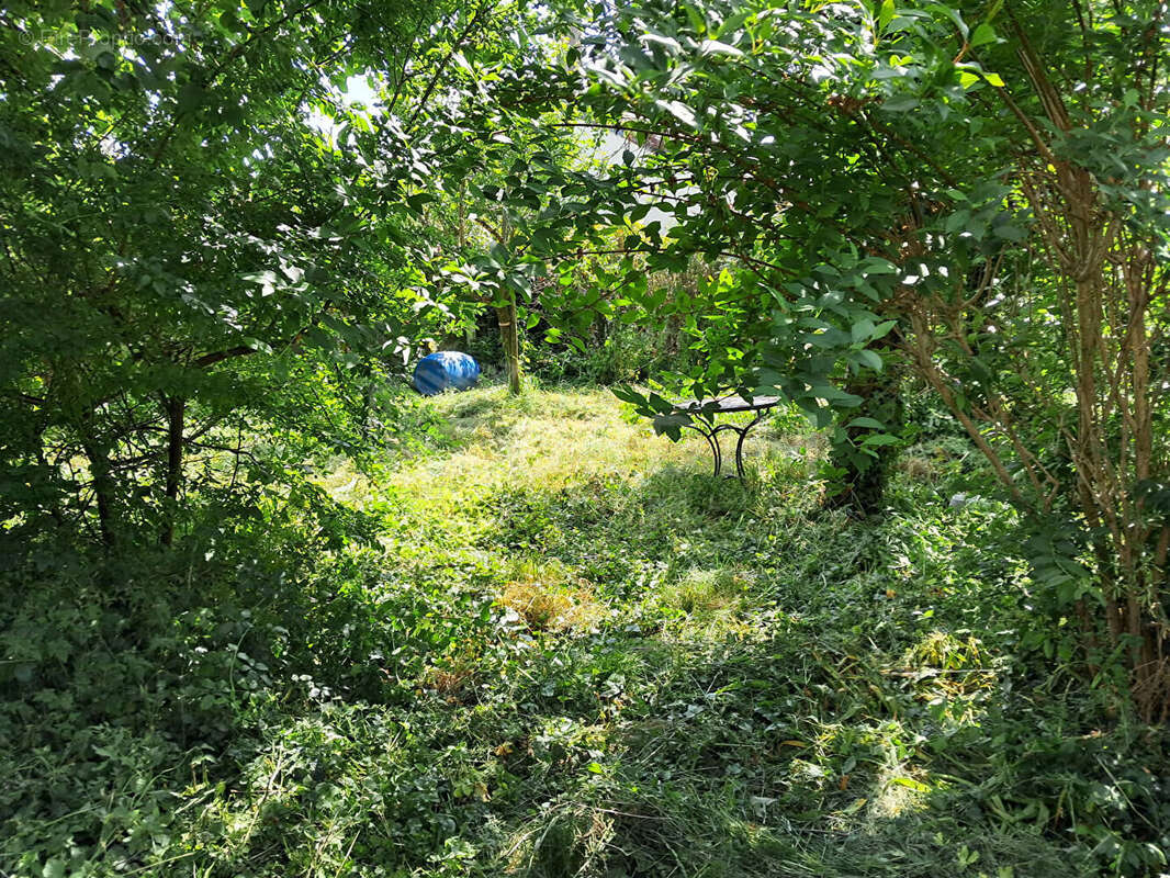 Maison à BONNY-SUR-LOIRE