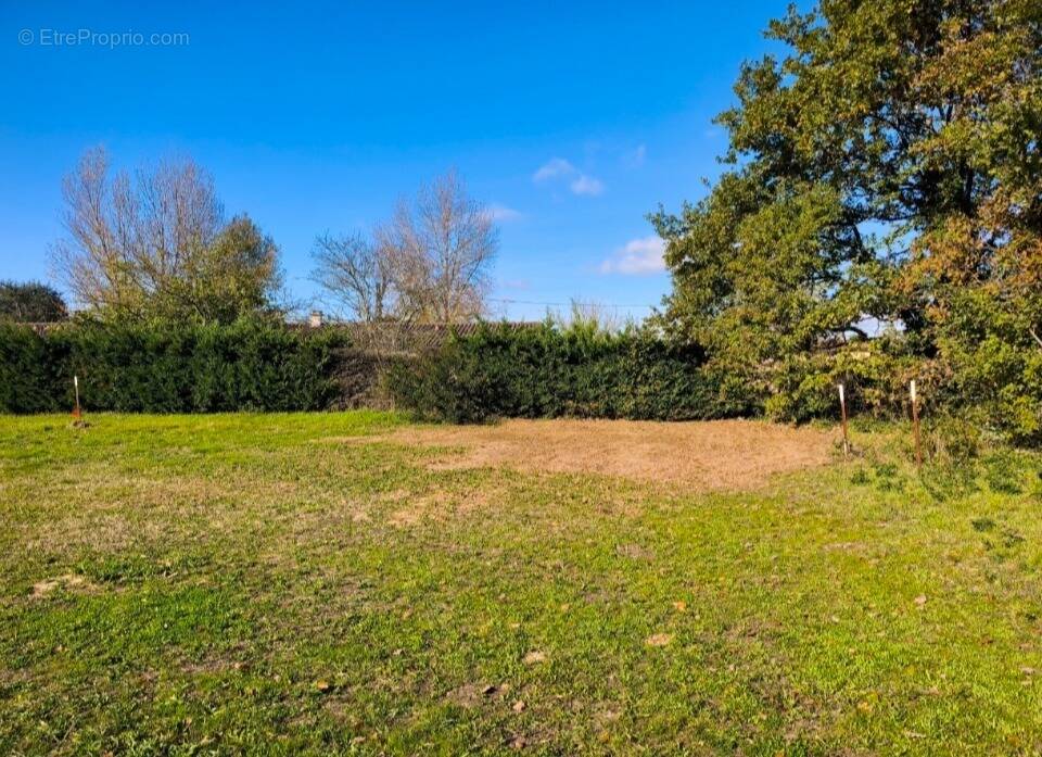 Terrain à COUFOULEUX