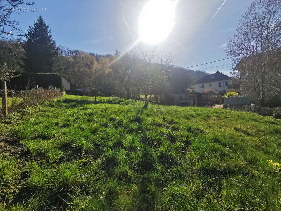 Terrain à SAINT-CHEF