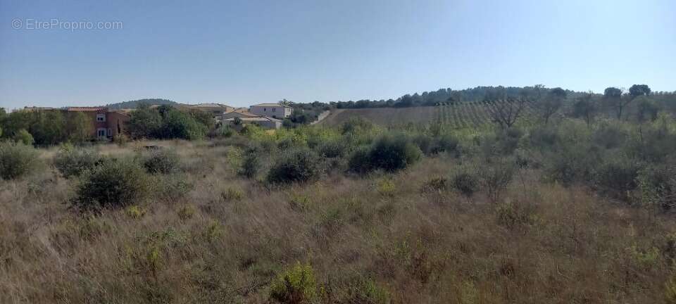 Terrain à PORTEL-DES-CORBIERES