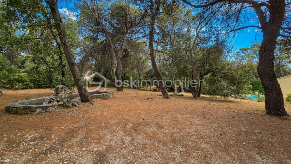 Villa T5 au coeur de la nature avec VUE exceptionnelle - photo 5
