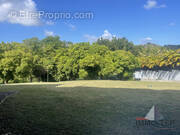 Jardin d'une superficie de 1537 M2 - Maison à SAINTE-ANNE