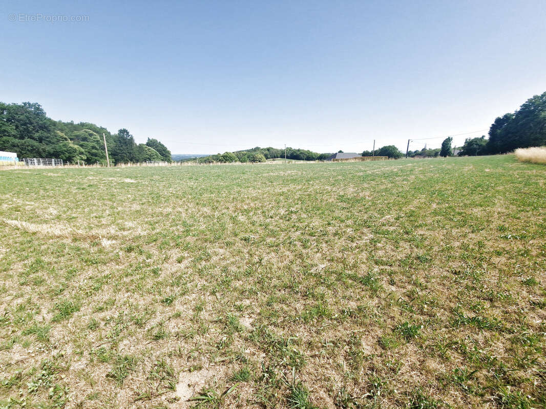 Terrain à PALAZINGES