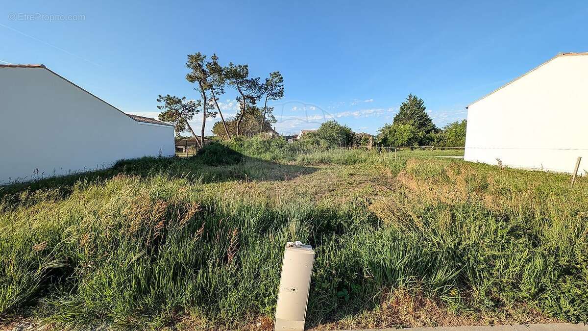 Terrain à MEURSAC
