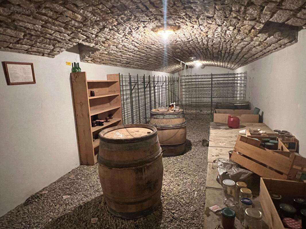 Maison à SAINT-SAUVEUR-DE-CRUZIERES