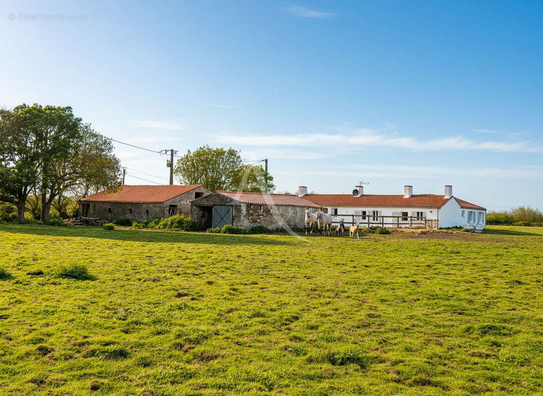 Maison à SAINT-URBAIN