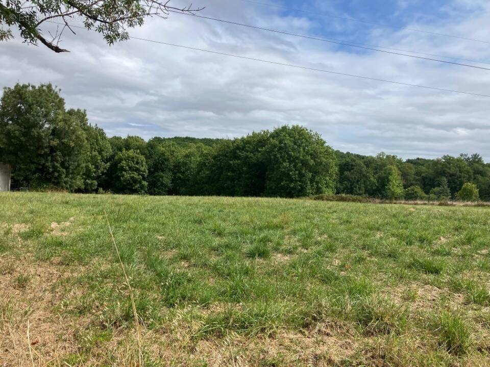 Terrain à FONTCOUVERTE