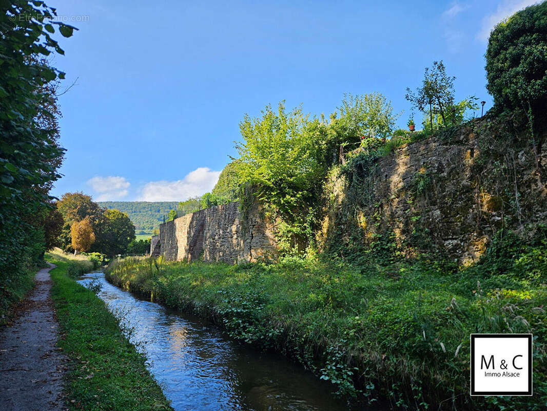 Maison à WISSEMBOURG