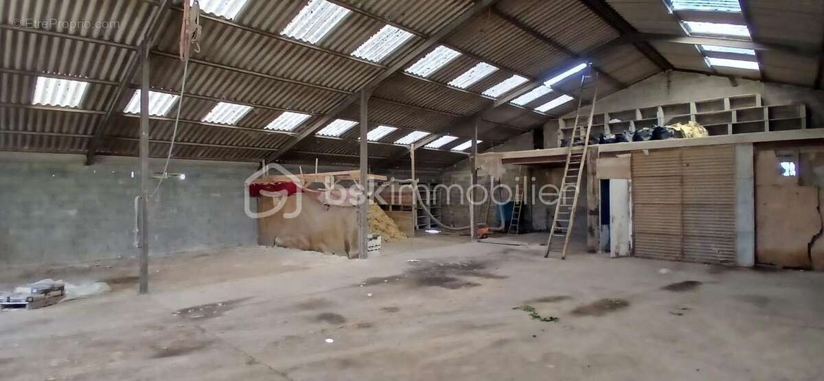 Hangar métallique - photo 3