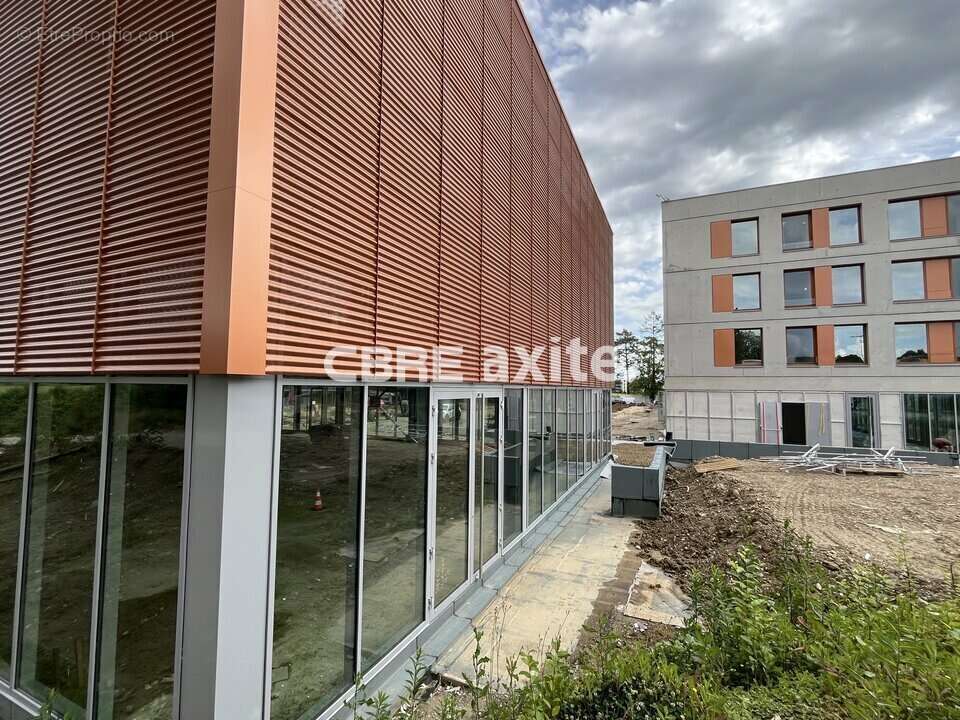 761 m² à Ferney-Voltaire  - photo 4