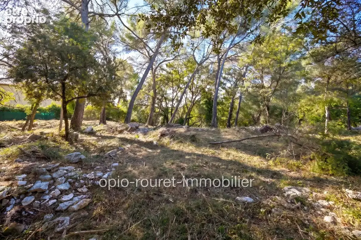 Terrain 2 500 m² à vendre à Roquefort-Les-Pins (06330) - photo 4