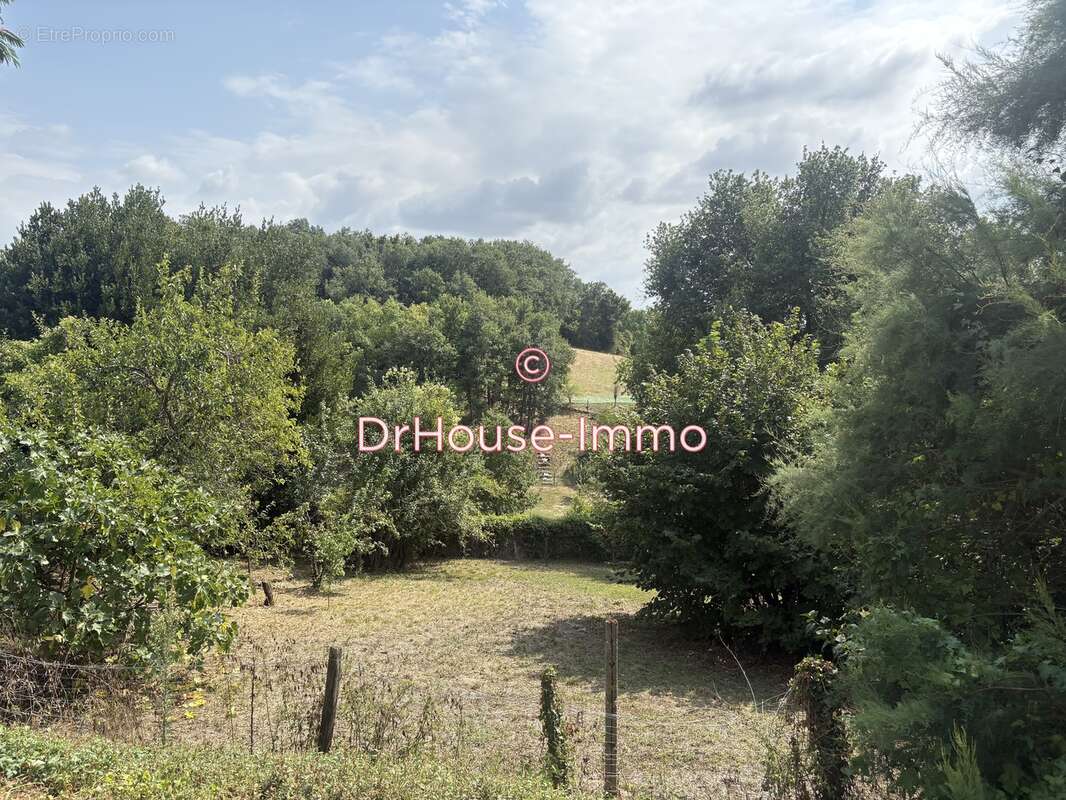 Maison 65 m² à Archigny  - photo 8