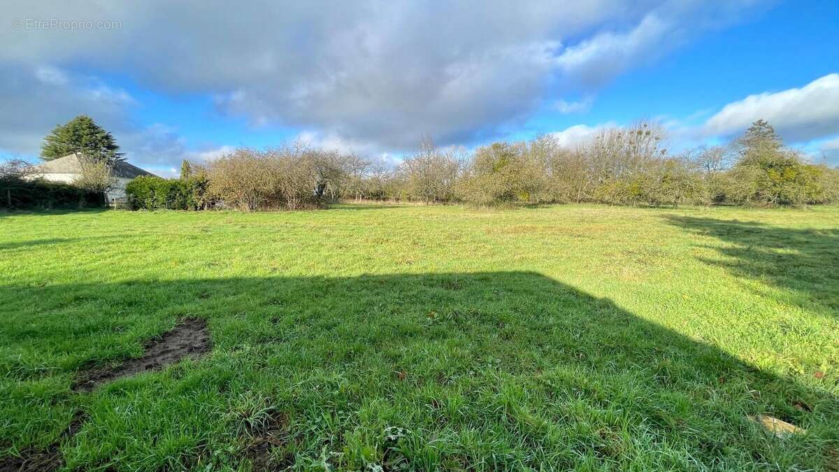 Photo 4 - Maison à CHAMPEON