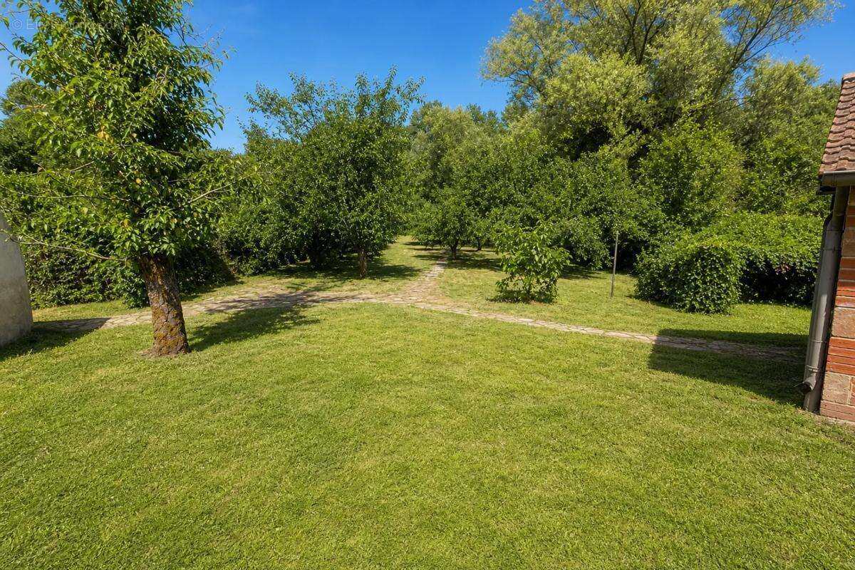 Maison 6 pièces de 115 m2 en vente, située à Jouarre - photo 11