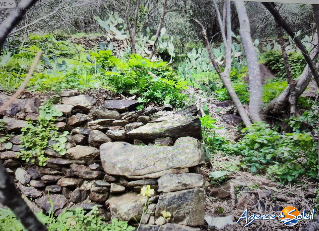 Terrain à BANYULS-SUR-MER