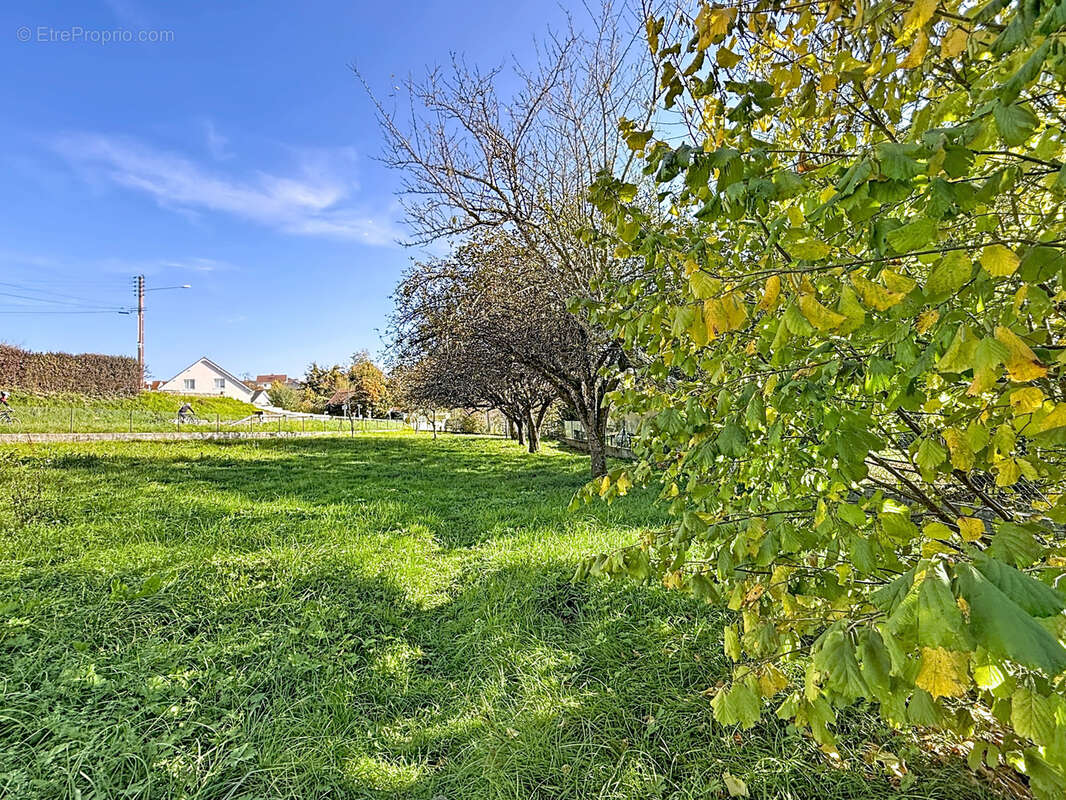 Maison à MONTBELIARD