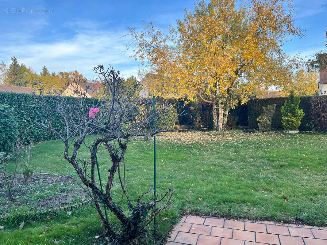 Maison à CHATEAUNEUF-SUR-LOIRE