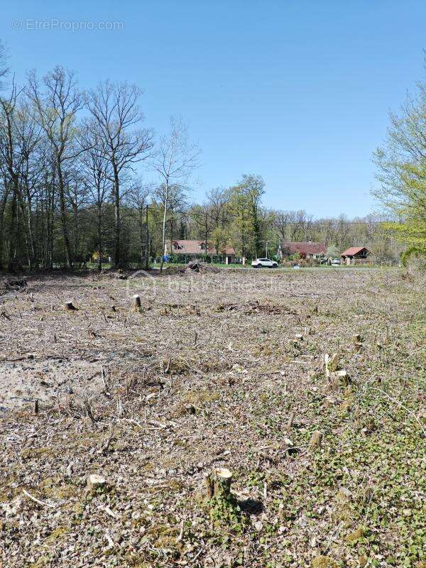 Terrain à TRIGUERES