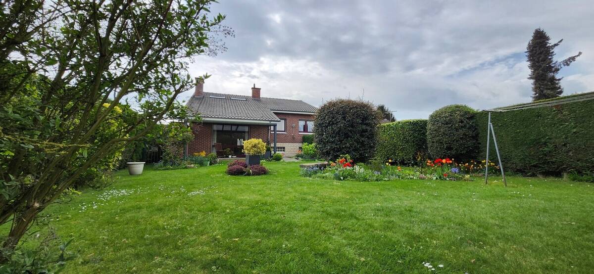 Façade arrière - Maison à HENIN-BEAUMONT