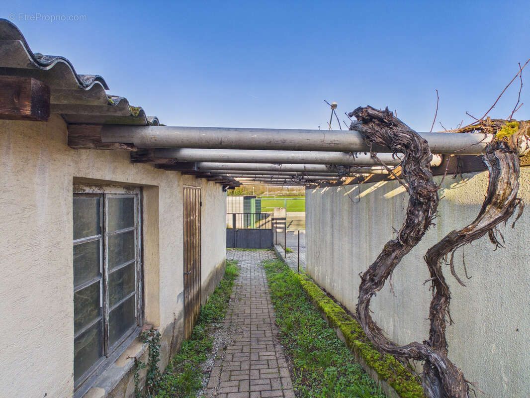 Maison à VILLAGE-NEUF