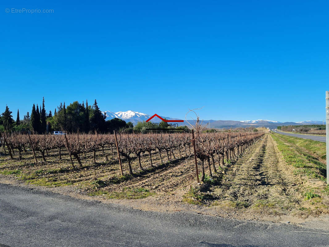 Terrain à TROUILLAS