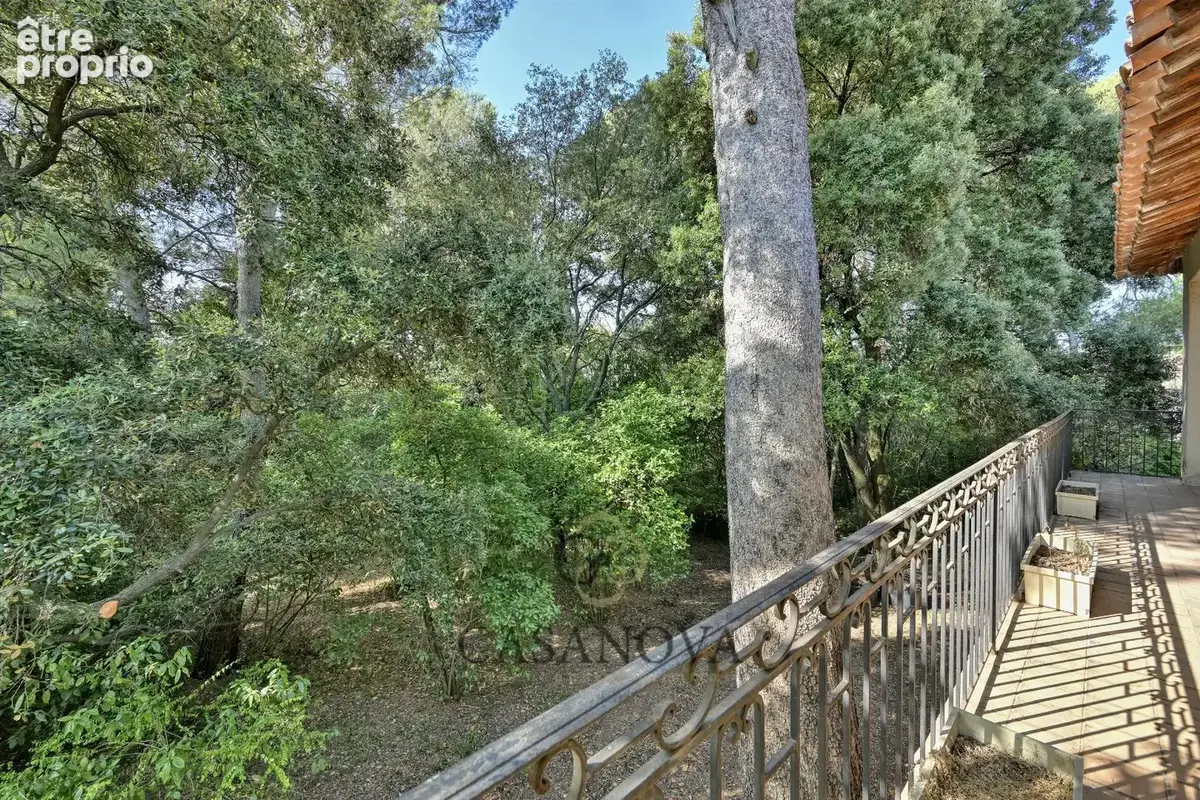 Maison familiale à rénover sur grand terrain arboré de 2 932 m²  Montpellier Aiguelongue - photo 3