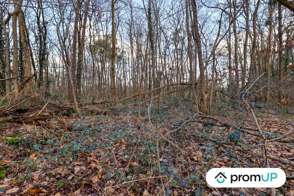 Terrain à CHATILLON-SUR-CHER