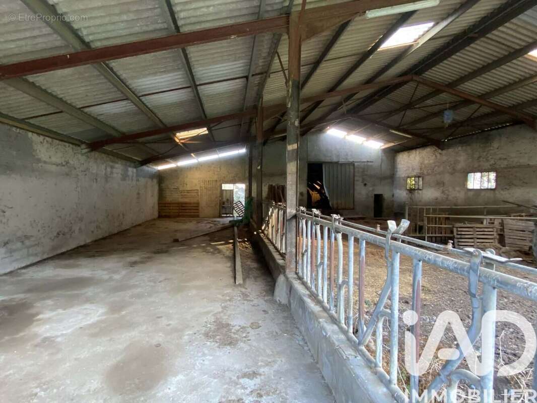 Maison 168 m² à Asasp-Arros  - photo 7