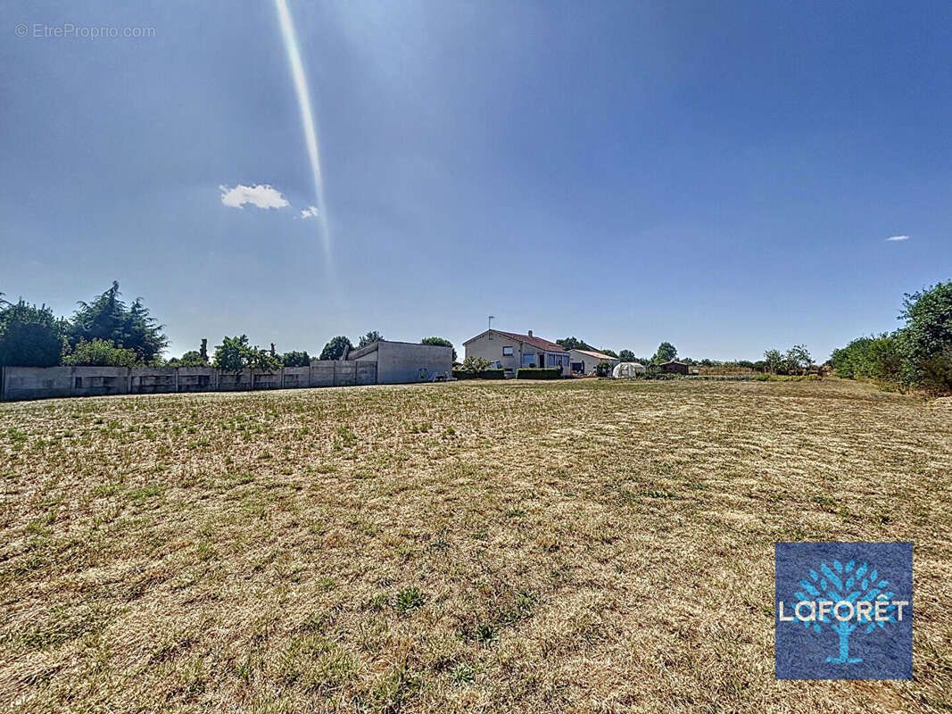Terrain à LE BOUPERE