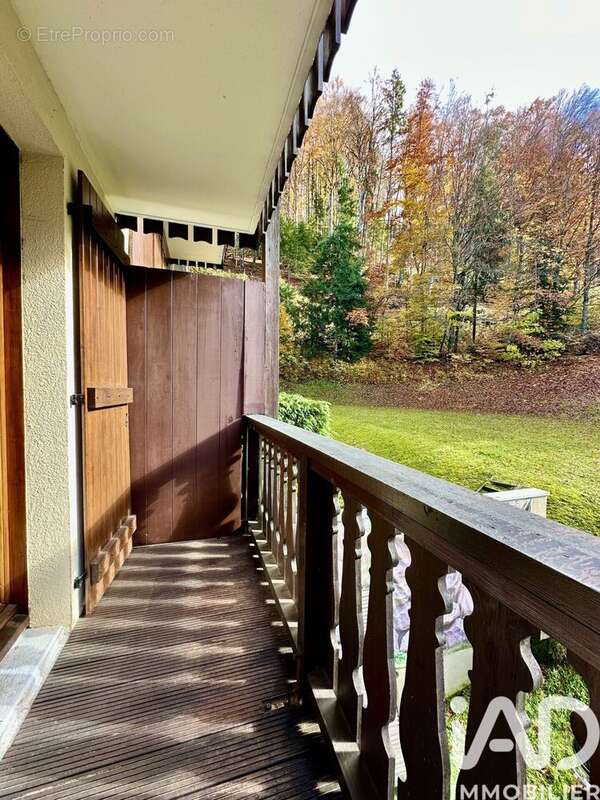 Photo 8 - Appartement à ARACHES-LA-FRASSE