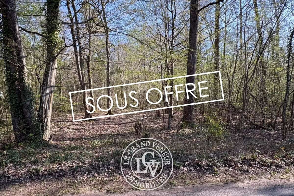 Terrain à MILLY-LA-FORET
