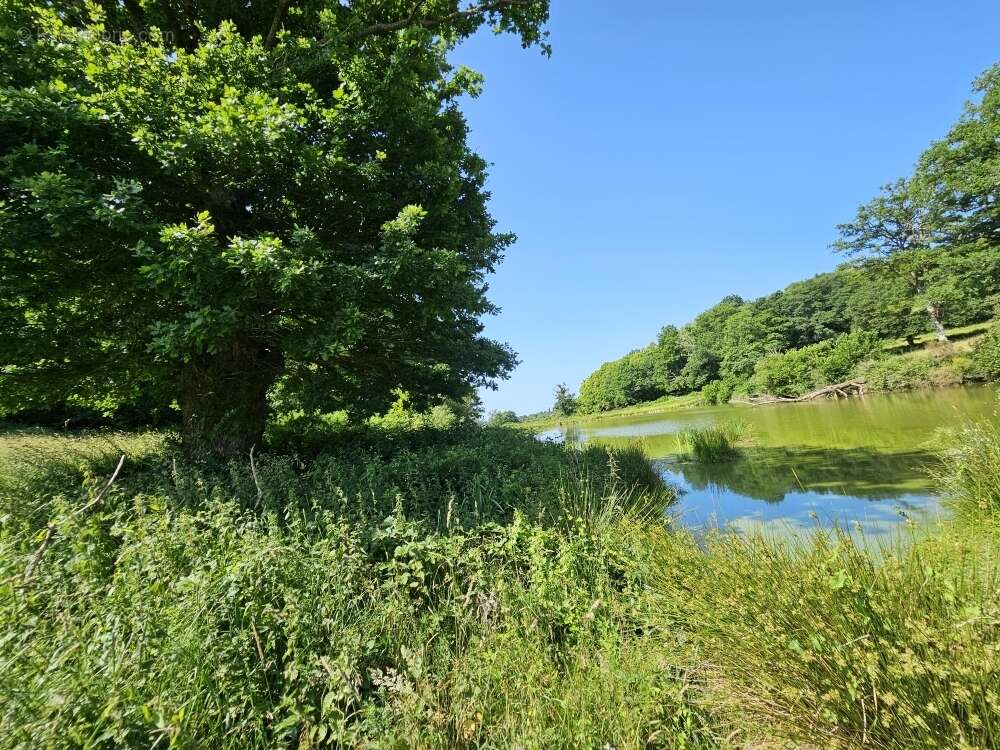 Autre à SAINT-PRIEST-LA-FEUILLE