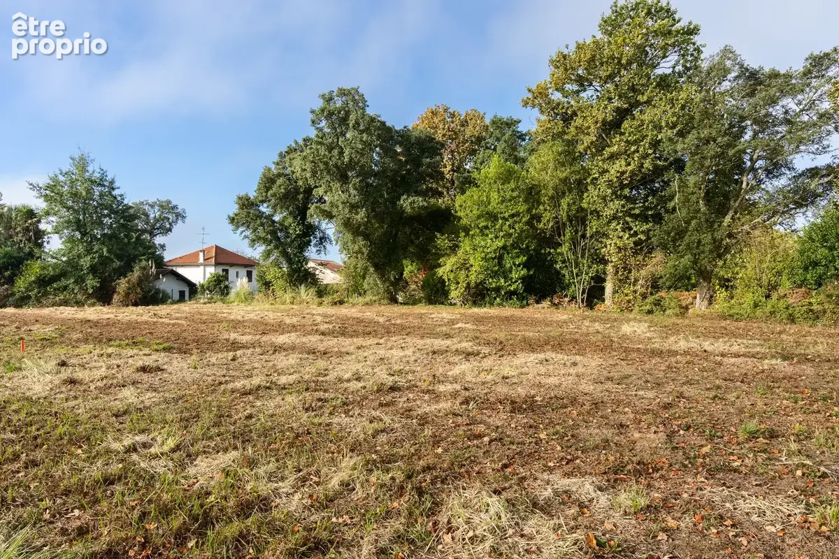 Ondres - terrain - 2185 m2 - photo 1