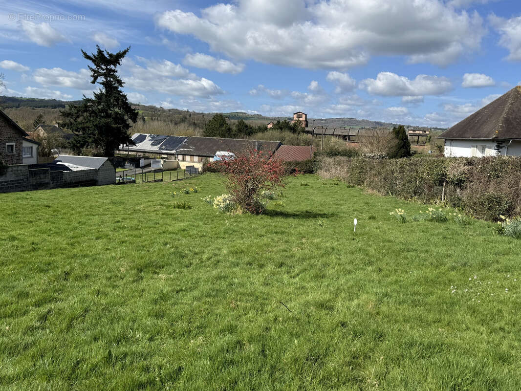 Terrain à SAINT-REMY