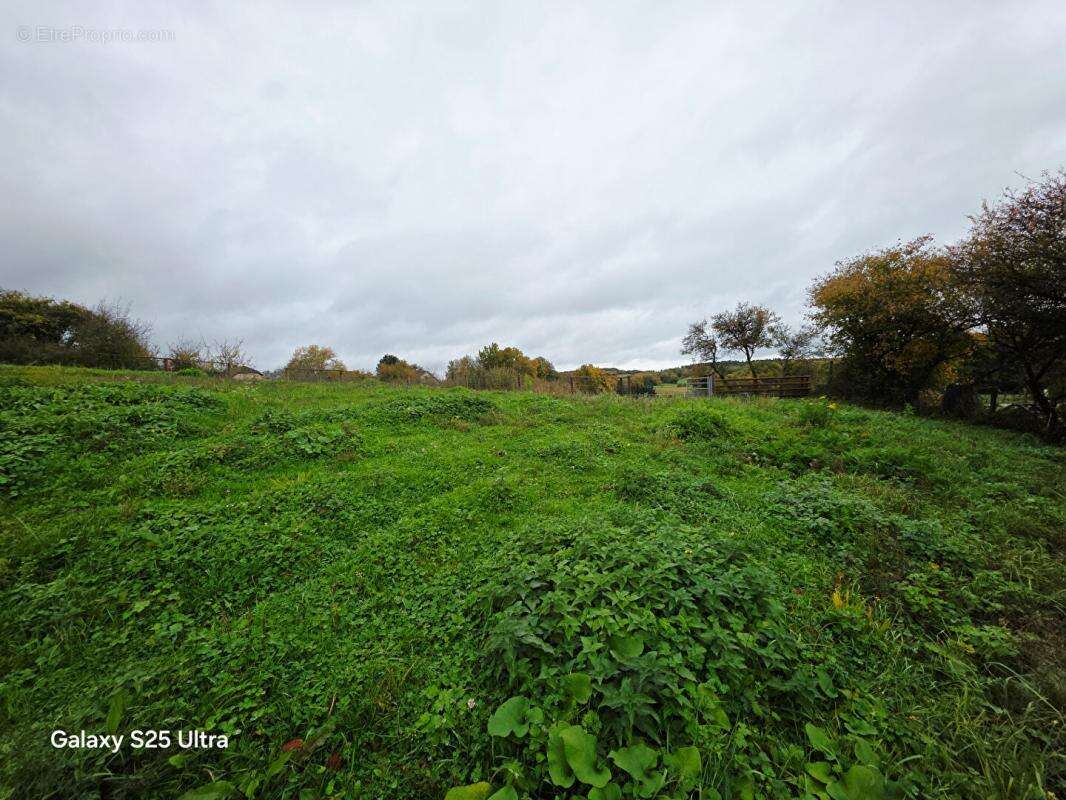 Terrain à FONTENELLE-MONTBY