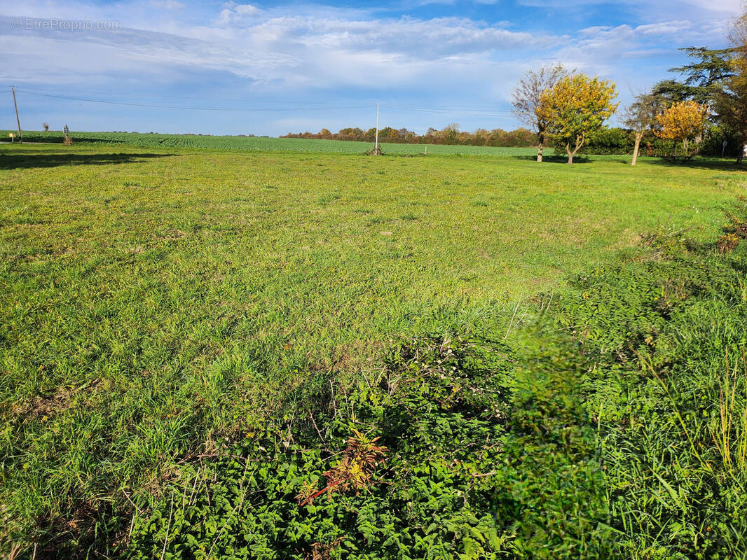 Terrain à LES MAGNILS-REIGNIERS