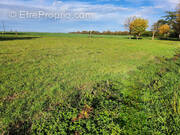 Terrain à LES MAGNILS-REIGNIERS