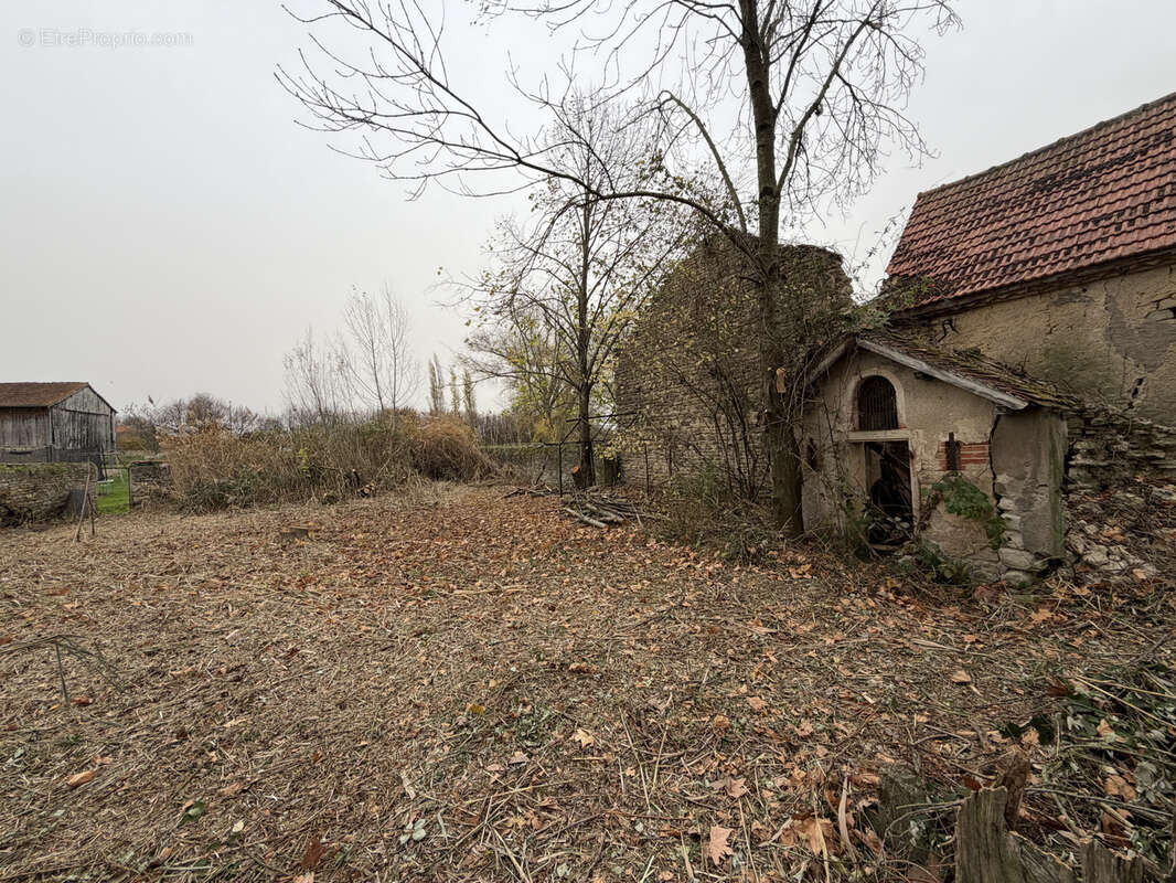 Terrain à BUSSIERES-ET-PRUNS