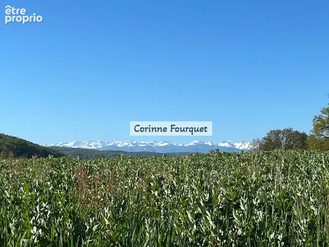 Maison Gasconne et plusieurs dépendances, vue Pyrénées - photo 2