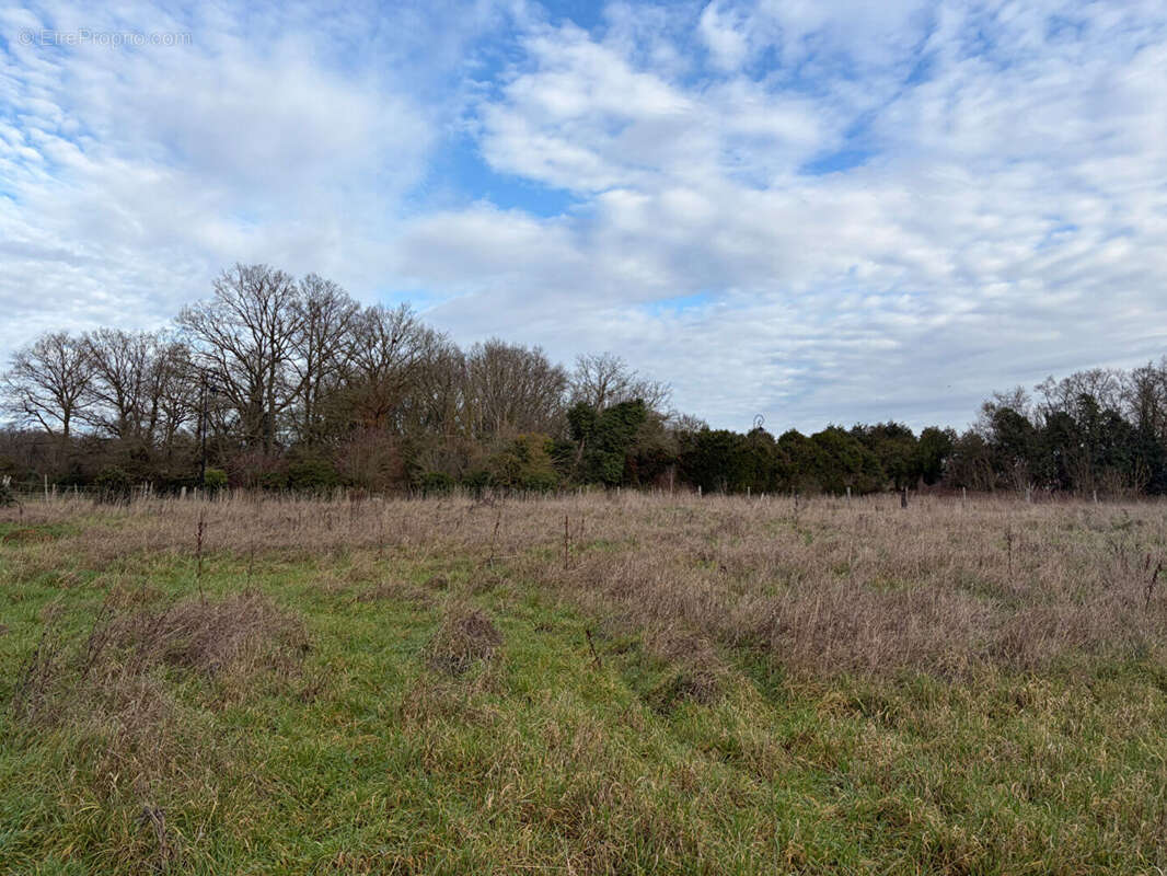 Terrain à CHAVIGNY-BAILLEUL